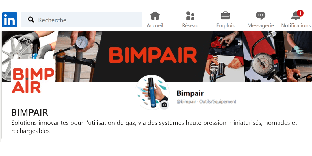 In 2021, find BIMPAIR on your favorite networks!